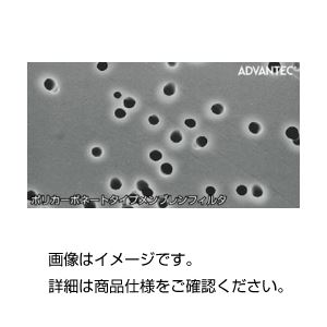 ポリカーボネートメンブレン K080A047A