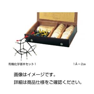 HGS立体化学分子模型有機化学基本セット1