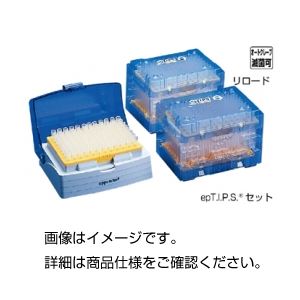 （まとめ）エッペンチップepTIPSセット50〜1000 入数：96本/トレー×5ボックス1箱(480本)【×10セット】