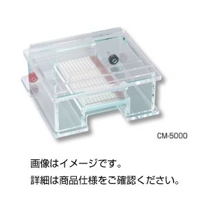 水平型電気泳動装置 CM-5004K