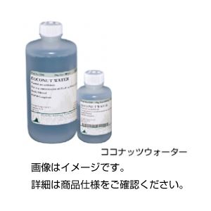 （まとめ）ココナッツウォーター 500ml【×5セット】