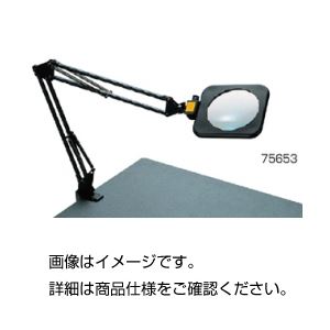 マガジンスコープ 75653