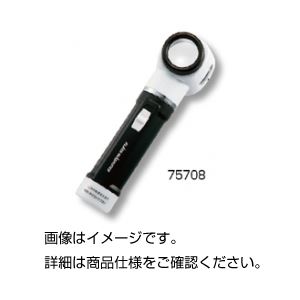 （まとめ）ライト付スケールルーペ75708【×3セット】