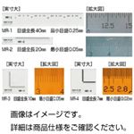 （まとめ）顕微鏡用マイクロルーラーMR-1（5枚組）【×3セット】