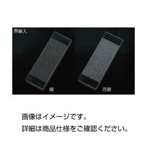 界線入スライドグラス方眼0.5mm目盛 1枚