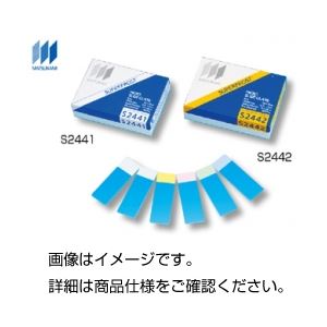 （まとめ）スーパーフロストスライドグラスS2445 100【×3セット】