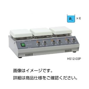 多連式ホットプレートスターラー HS12-03P