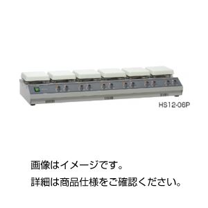 多連式ホットプレートスターラー HS12-06P