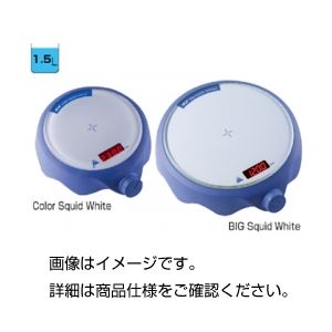 デジタルスターラー BigSquidWhite
