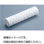 （まとめ）カートリッジフィルター10μm 250mm【×20セット】