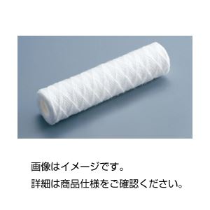 （まとめ）カートリッジフィルター1μm 250mm 10本【×3セット】