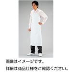 （まとめ）ワンタッチ前掛（ホワイト）【×5セット】
