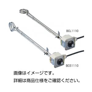 温調付投込みヒーター BCS1110