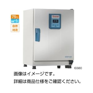 恒温器 IGS60