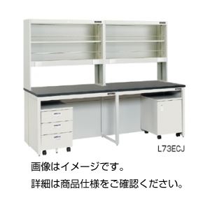 壁面実験台 L73ECE