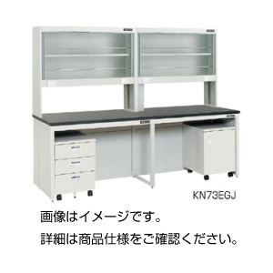 壁面実験台（ガラス戸試薬棚タイプ）KN73EGJ