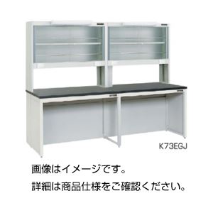 壁面実験台（ガラス戸試薬棚蛍光灯付）K73EGF