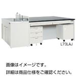 中央実験台（ステンレスシンク）L73LAR