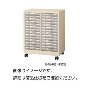 整理ケース B4G-P214SCB
