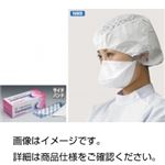 N95マスク ウイルスマイル 入数：30枚/箱（1枚ずつ個包装） 