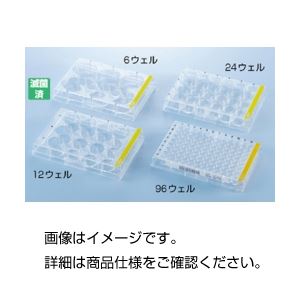 細胞培養プレート 92096 96ウェル 入数：162枚