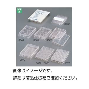 ファルコンマイクロテストIIIプレート 3296 【入数：50枚】 ガンマ線滅菌済