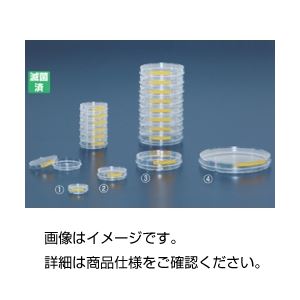 (まとめ)細胞培養ディッシュ 93150 (146φ×21mm) 入数：5枚×20包 【×3セット】