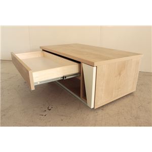 センターテーブル(ローテーブル) 幅100cm×奥行50cm 収納付き 木目調/北欧風 ナチュラル 【日本製】