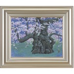 【広森　雄】山高神代桜　二千年の夢  Ｆ６（409×318mm）