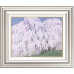 【広森　雄】三春　滝桜 Ｆ６（409×318mm）
