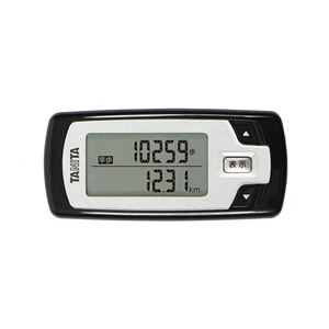 活動量計カロリズム for WALKING メタリックブラック EZ-062-BK