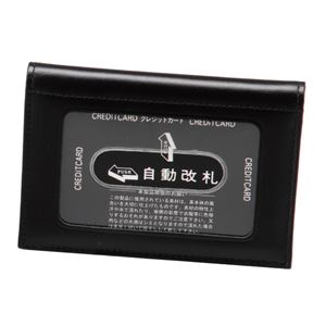 定期入（窓2面）・名刺入 黒 L212-6