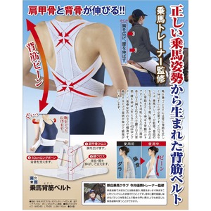乗馬背筋ベルト　M