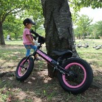 幼児用自転車/ペダル無し自転車 12インチ/ピンク 重さ4.7kg 専用スタンド付き 【HUMMER】 ハマー TRAINEE Bike