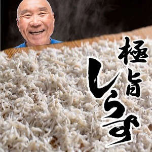 産地箱でお届け 兵庫県淡路島産 やわらか しらす 1kg【２個セット】