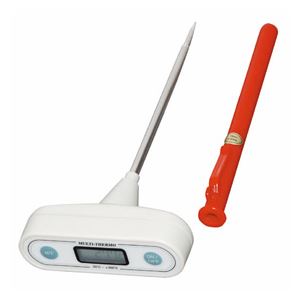 カスタム 温度計 CT-421WR