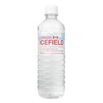 アイスフィールド 500ml*24本