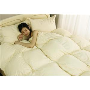 新20色羽根布団8点セット セミダブル　アイボリー