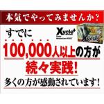 �U�C�N���@�X�|�[�c�T�v��