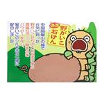 野がいこ石けん