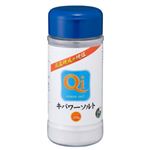 キパワーソルト 容器入り230g