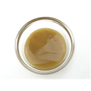Honey New Zealand Active UMF20+�ޥ̥��ϥˡ� 250g