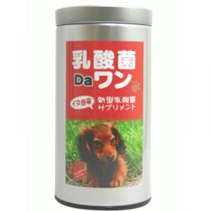 乳酸菌Daワン