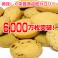 NEW豆乳おからクッキー 8種類セット