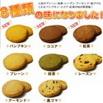 NEW����������N�b�L�[�@8��ރZ�b�g
