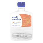 元気の水(ミネラル還元整水器) 300mlハンディボトル