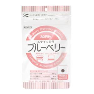 リケン ブルーベリー約90粒