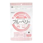 リケン ブルーベリー約90粒
