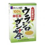 山本漢方の100%ウラジロガシ茶 5g*20袋