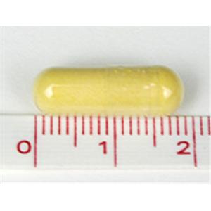 �����p100����GOLD�R�G���U�C��Q10